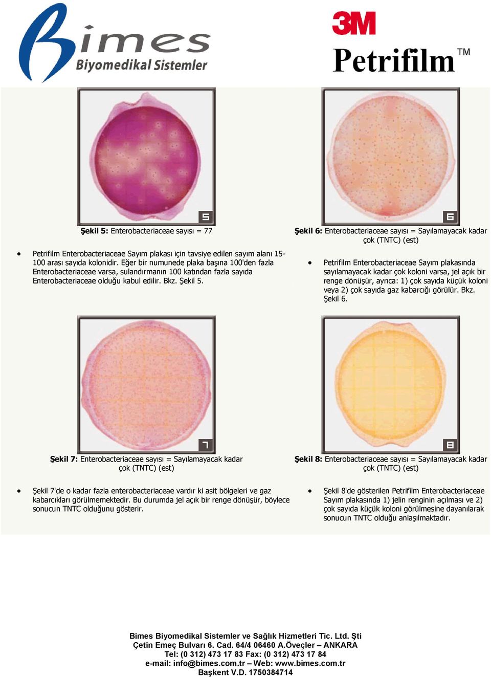 Şekil 6: Enterobacteriaceae sayısı = Sayılamayacak kadar çok (TNTC) (est) Petrifilm Enterobacteriaceae Sayım plakasında sayılamayacak kadar çok koloni varsa, jel açık bir renge dönüşür, ayrıca: 1)