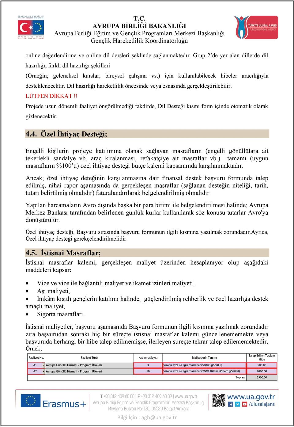 ! Projede uzun dönemli faaliyet öngörülmediği takdirde, Dil Desteği kısmı form içinde otomatik olarak gizlenecektir. 4.