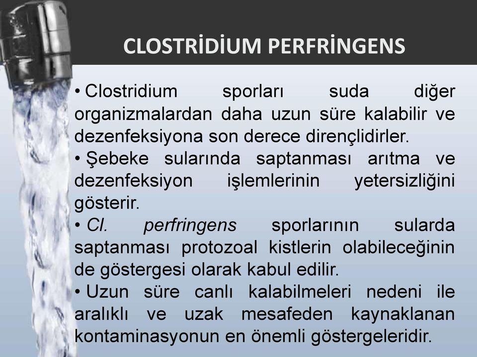 Cl. perfringens sporlarının sularda saptanması protozoal kistlerin olabileceğinin de göstergesi olarak kabul edilir.