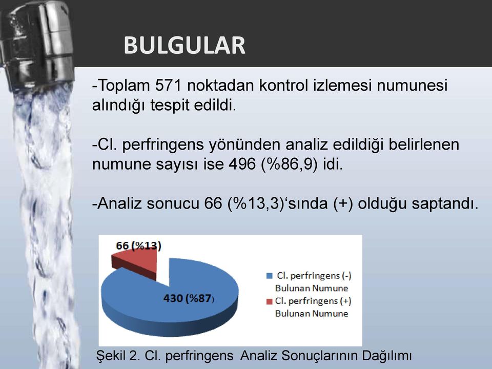 perfringens yönünden analiz edildiği belirlenen numune sayısı ise