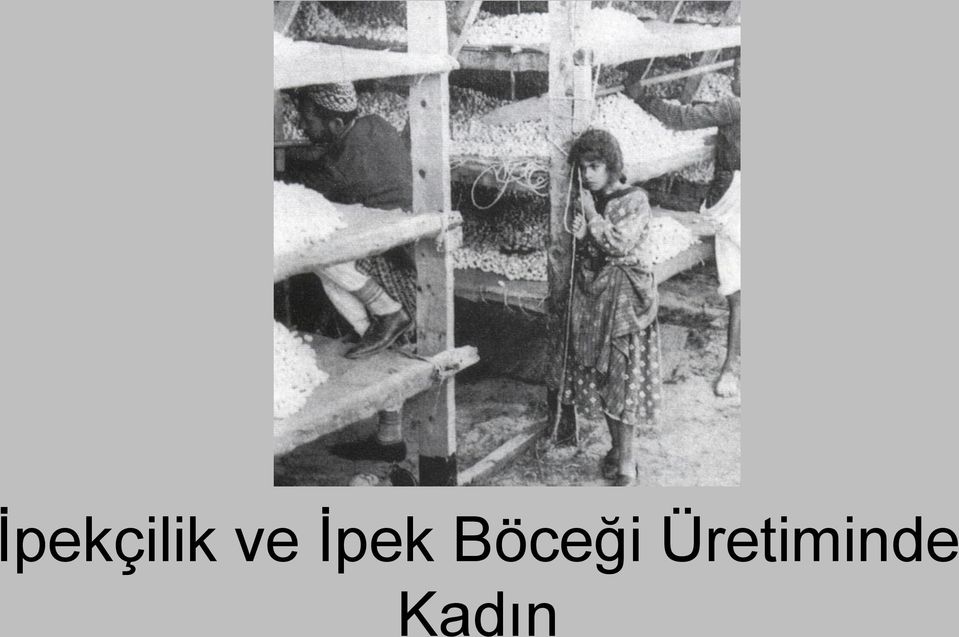 Böceği