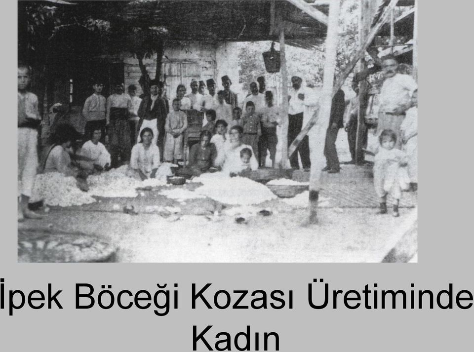 Kozası