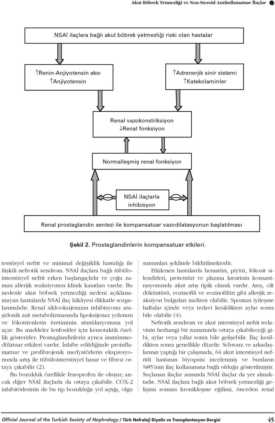 Prostaglandinlerin kompansatuar etkileri. terstisyel nefrit ve minimal de ifliklik hastal ile iliflkili nefrotik sendrom.