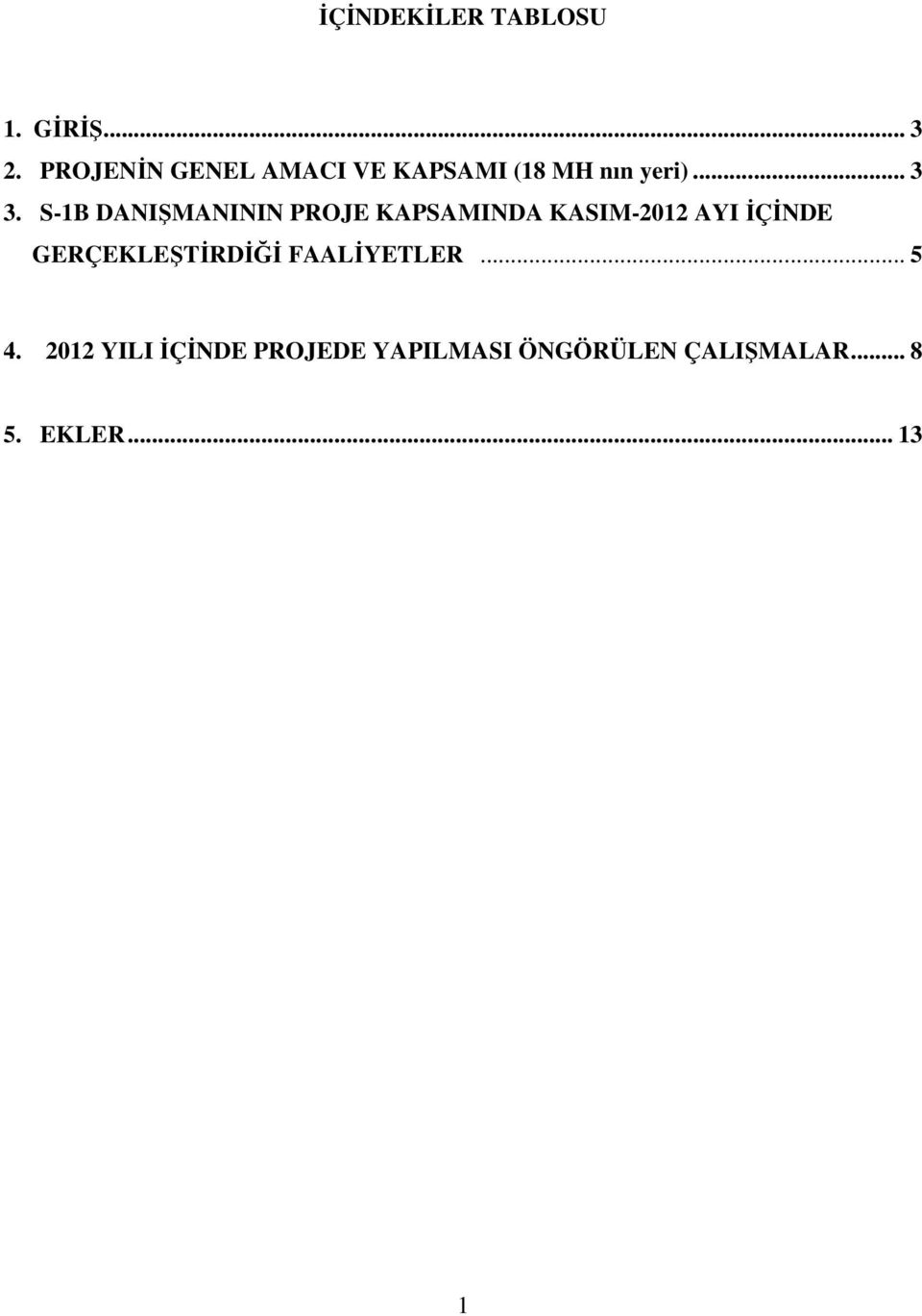 S-1B DANIŞMANININ PROJE KAPSAMINDA KASIM-2012 AYI İÇİNDE