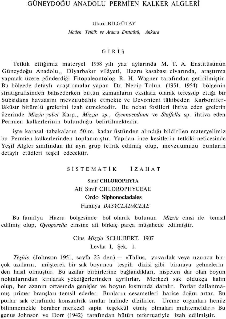 Necip Tolun (1951, 1954) bölgenin stratigrafisinden bahsederken bütün zamanların eksiksiz olarak teressüp ettiği bir Subsidans havzasını mevzuubahis etmekte ve Devonieni tâkibeden Karboniferlâküstr