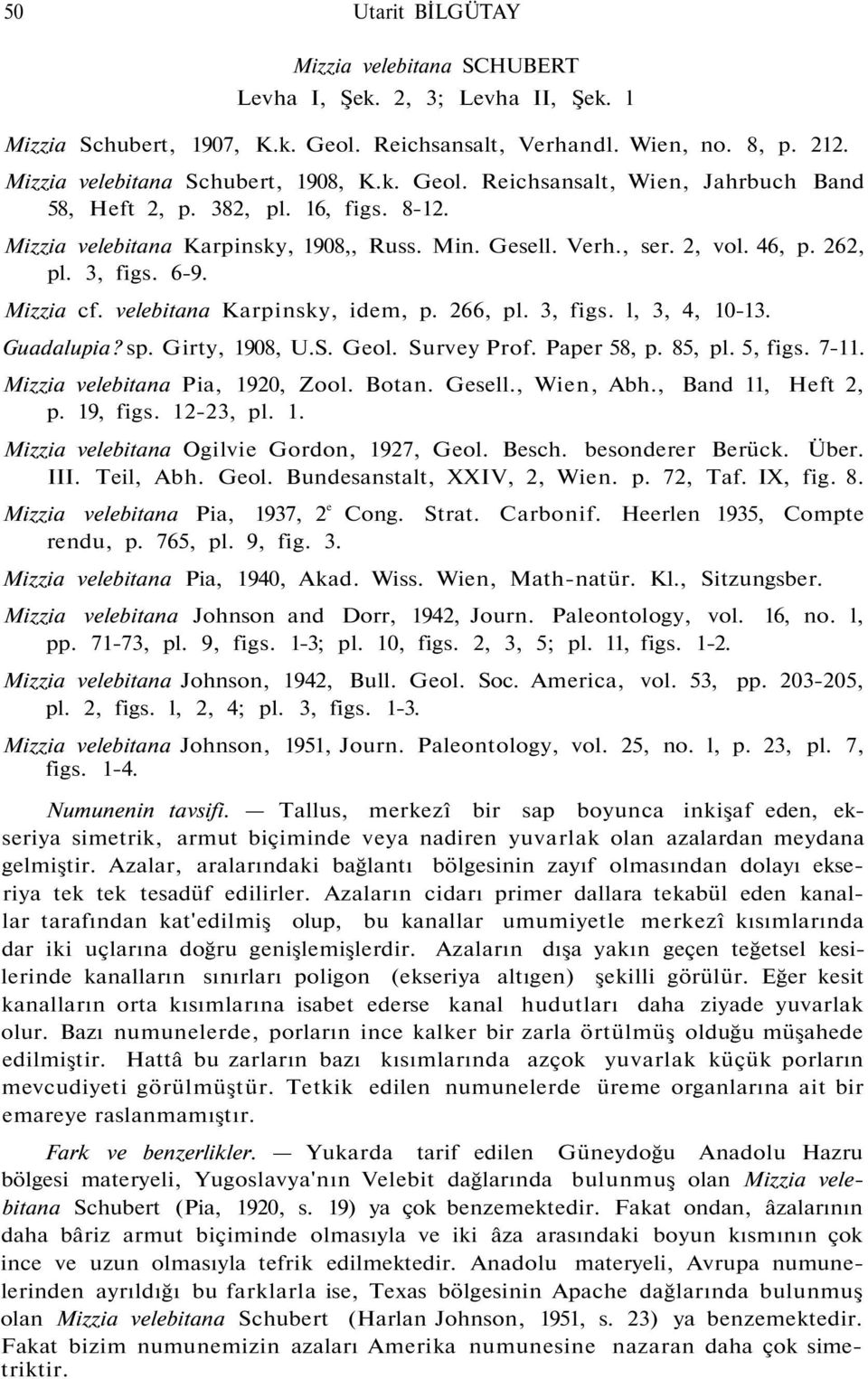 Guadalupia? sp. Girty, 1908, U.S. Geol. Survey Prof. Paper 58, p. 85, pl. 5, figs. 7-11. Mizzia velebitana Pia, 1920, Zool. Botan. Gesell., Wien, Abh., Band 11, Heft 2, p. 19, figs. 12-23, pl. 1. Mizzia velebitana Ogilvie Gordon, 1927, Geol.