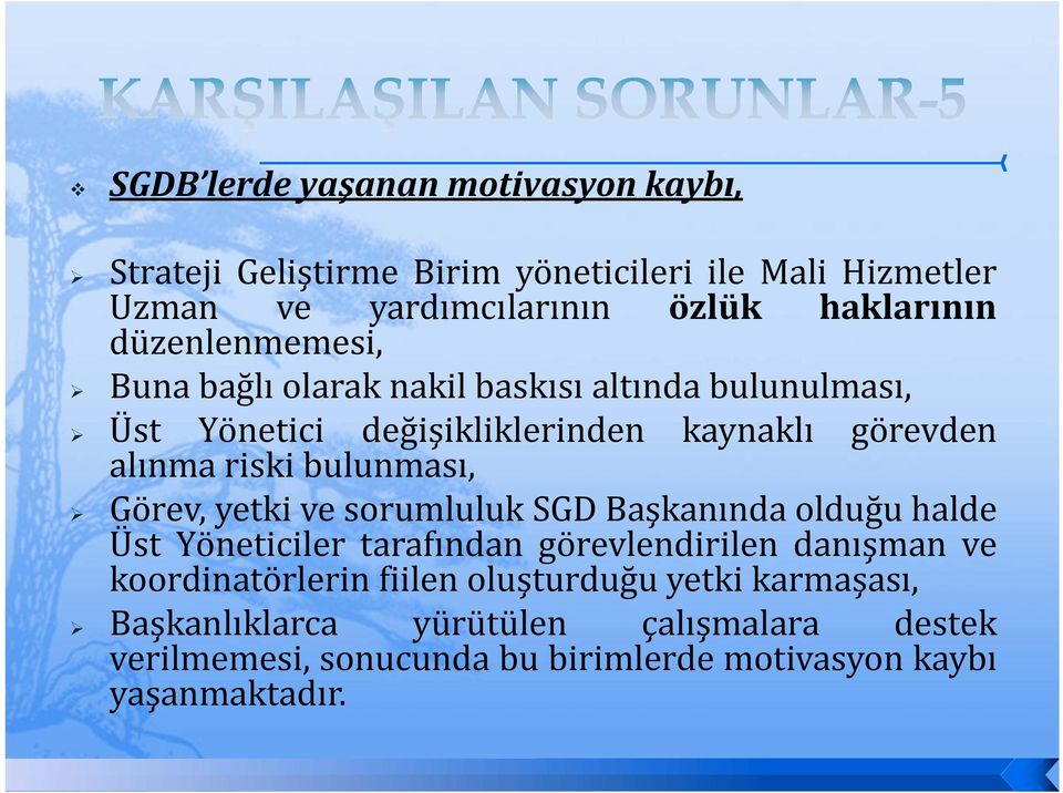 bulunması, Görev, yetki ve sorumluluk SGD Başkanında olduğu halde Üst Yöneticiler tarafından görevlendirilen danışman ve koordinatörlerin