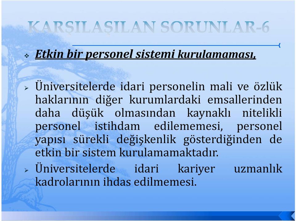 personel istihdam edilememesi, personel yapısı sürekli değişkenlik gösterdiğinden de etkin