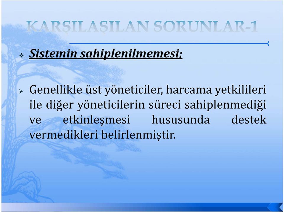 yöneticilerin süreci sahiplenmediği ve