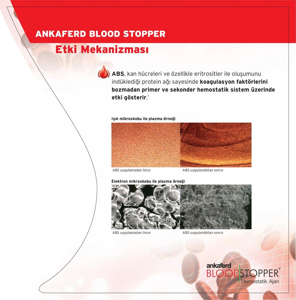 hemostatik sistem üzerinde etki gösterir.