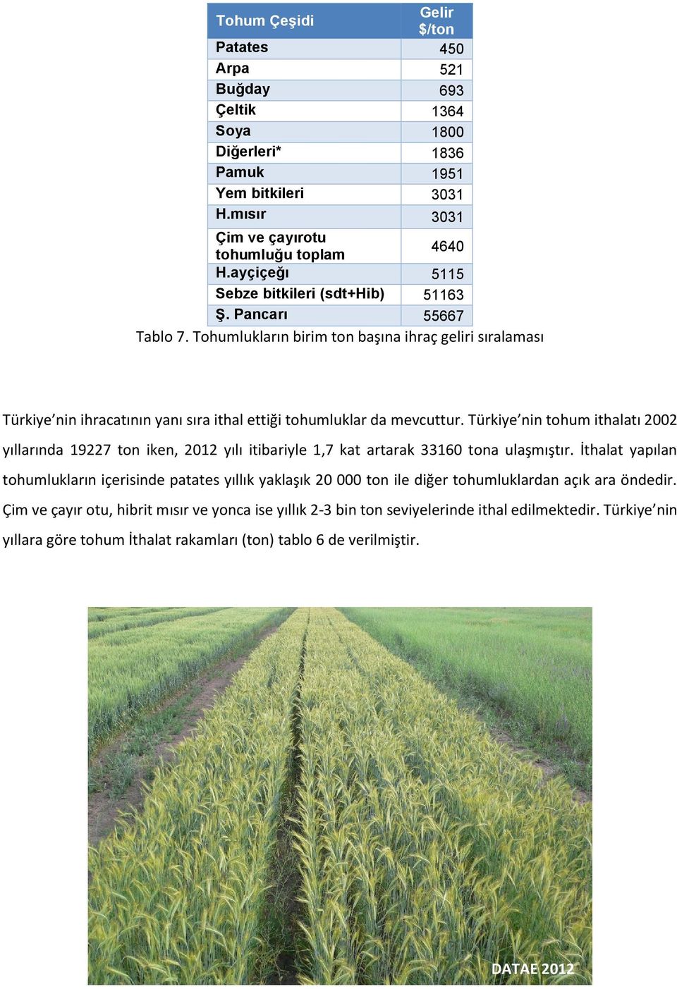 Türkiye nin tohum ithalatı 2002 yıllarında 19227 ton iken, 2012 yılı itibariyle 1,7 kat artarak 33160 tona ulaşmıştır.