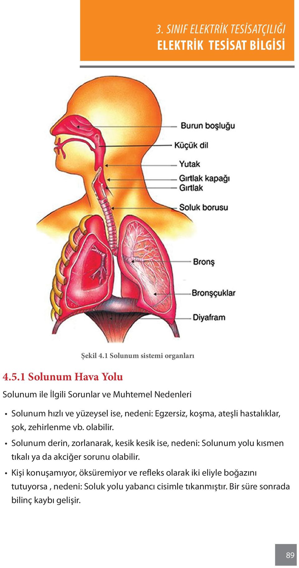 Egzersiz, koşma, ateşli hastalıklar, şok, zehirlenme vb. olabilir.