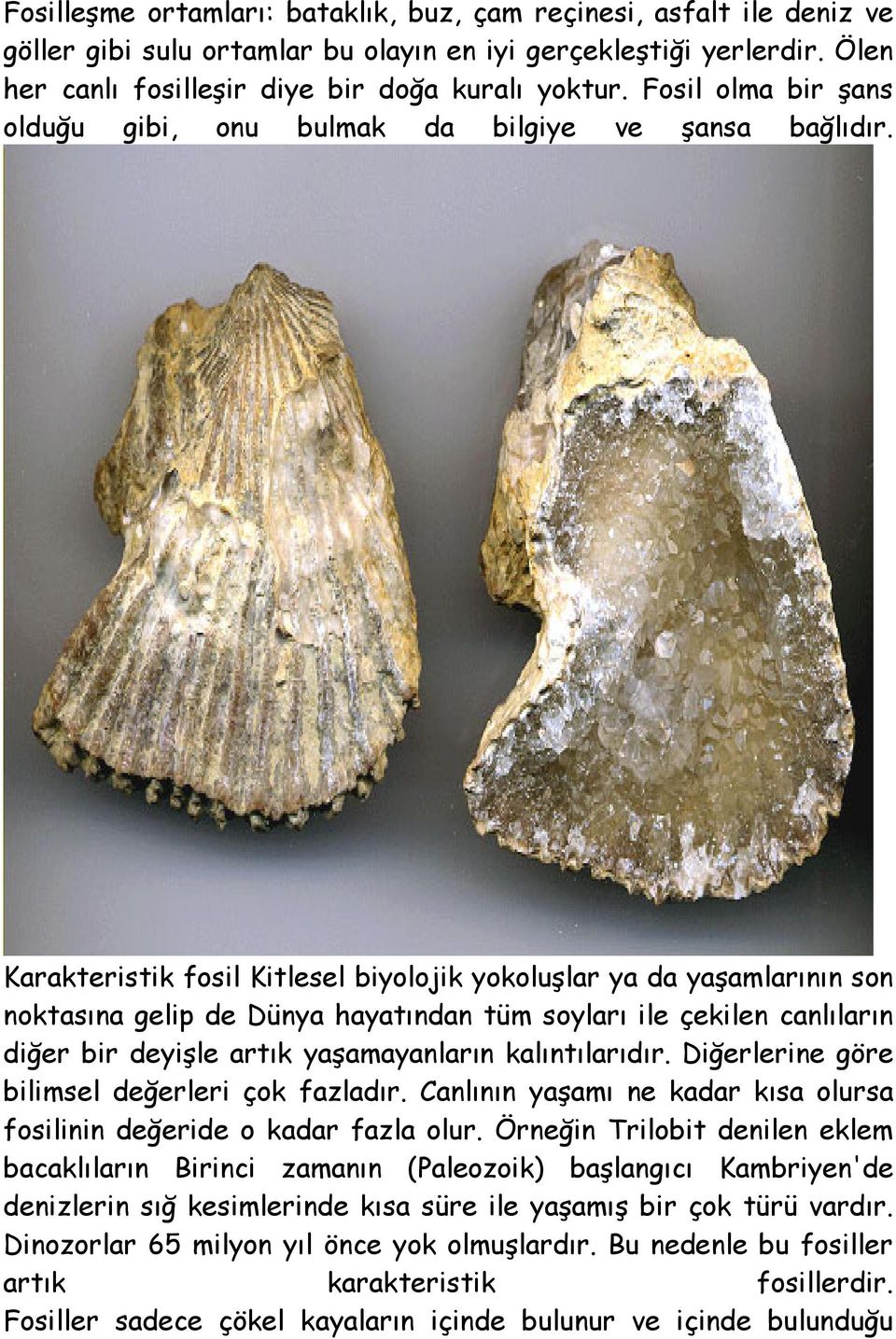 Karakteristik fosil Kitlesel biyolojik yokoluşlar ya da yaşamlarının son noktasına gelip de Dünya hayatından tüm soyları ile çekilen canlıların diğer bir deyişle artık yaşamayanların kalıntılarıdır.