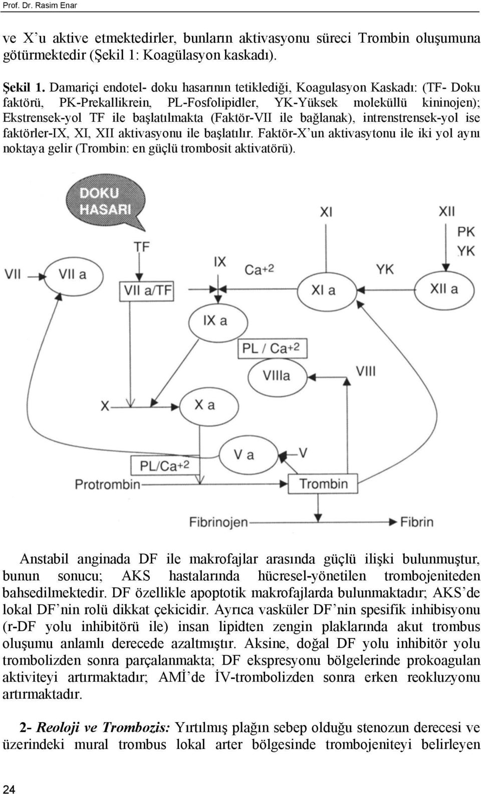 (Faktör-VII ile bağlanak), intrenstrensek-yol ise faktörler-ix, XI, XII aktivasyonu ile başlatılır. Faktör-X un aktivasytonu ile iki yol aynı noktaya gelir (Trombin: en güçlü trombosit aktivatörü).