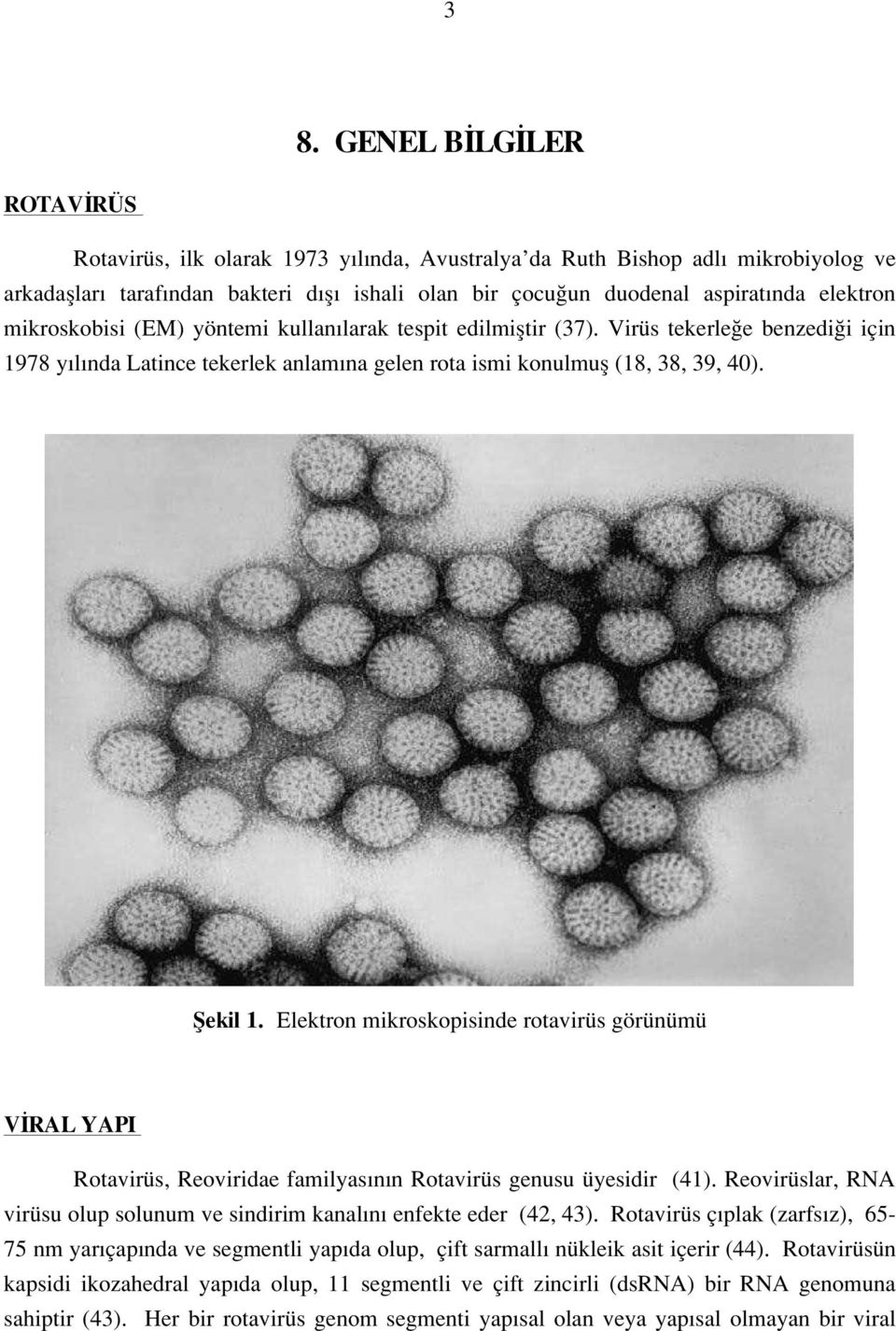 Elektron mikroskopisinde rotavirüs görünümü V RAL YAPI Rotavirüs, Reoviridae familyas n n Rotavirüs genusu üyesidir (41).