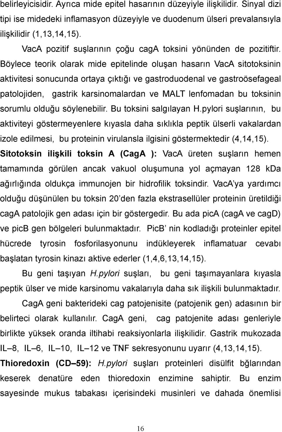 Böylece teorik olarak mide epitelinde oluşan hasarın VacA sitotoksinin aktivitesi sonucunda ortaya çıktığı ve gastroduodenal ve gastroösefageal patolojiden, gastrik karsinomalardan ve MALT lenfomadan