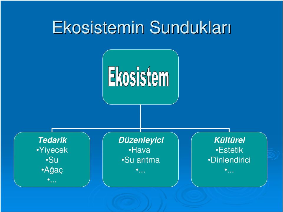 .. Düznlyii Hv Su rıtm.