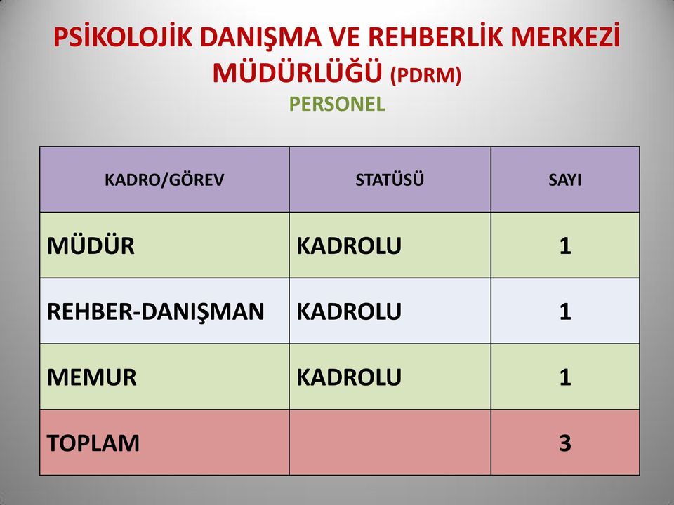 STATÜSÜ SAYI MÜDÜR KADROLU 1