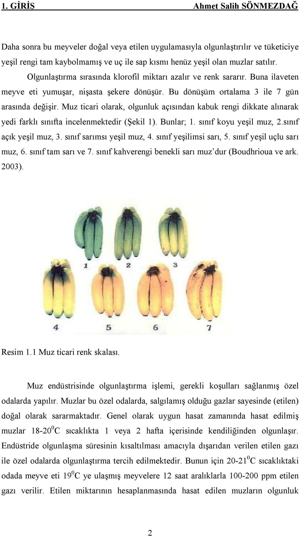 Muz ticari olarak, olgunluk açısından kabuk rengi dikkate alınarak yedi farklı sınıfta incelenmektedir (Şekil 1). Bunlar; 1. sınıf koyu yeşil muz, 2.sınıf açık yeşil muz, 3.
