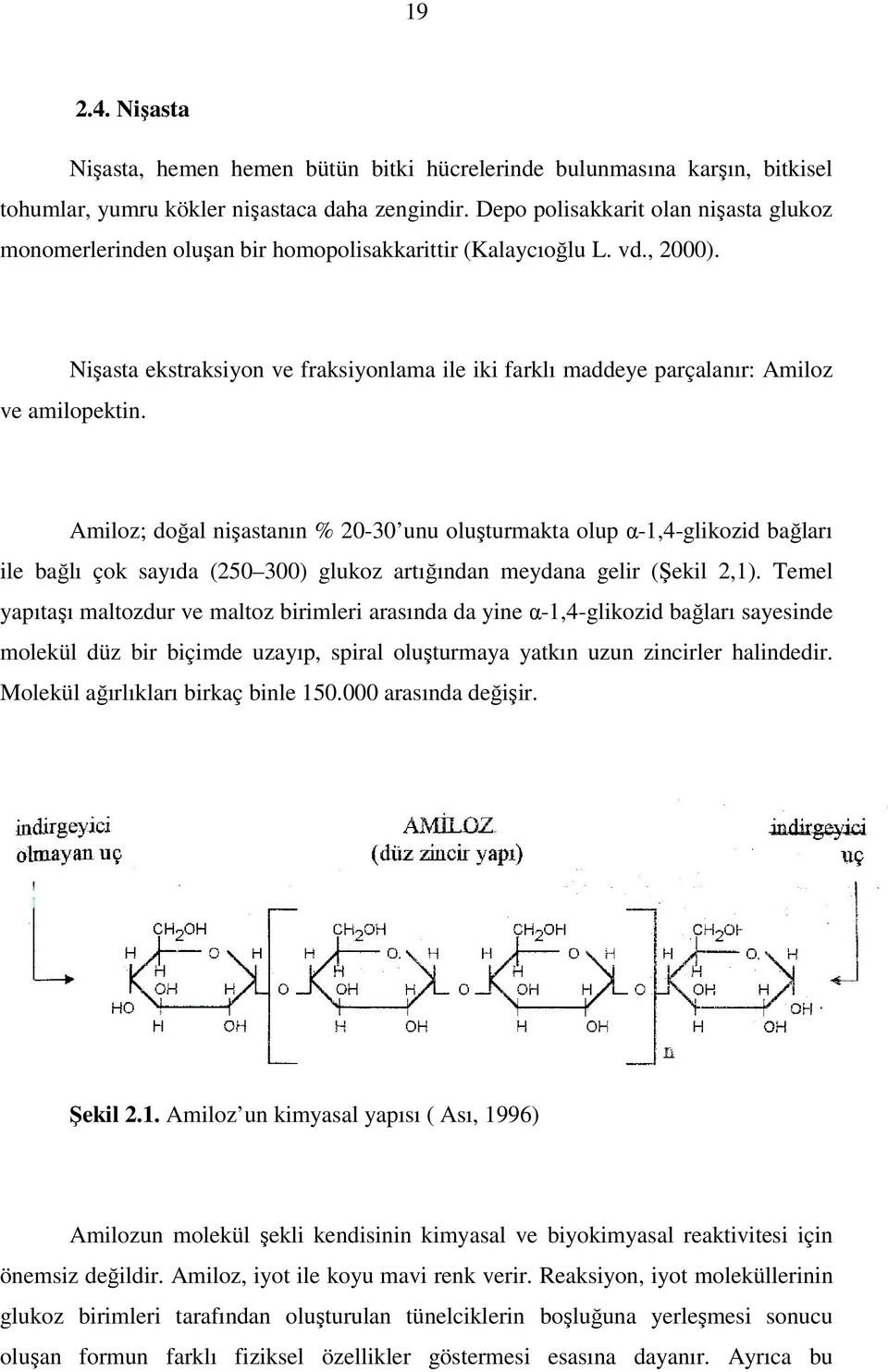 Nişasta ekstraksiyon ve fraksiyonlama ile iki farklı maddeye parçalanır: Amiloz ve amilopektin.