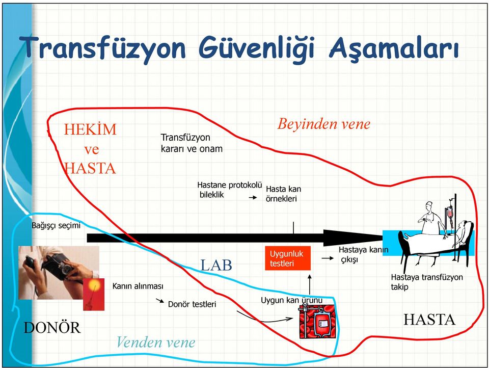 Bağışçı seçimi LAB Uygunluk testleri Hastaya transfüzyon takip Kanın