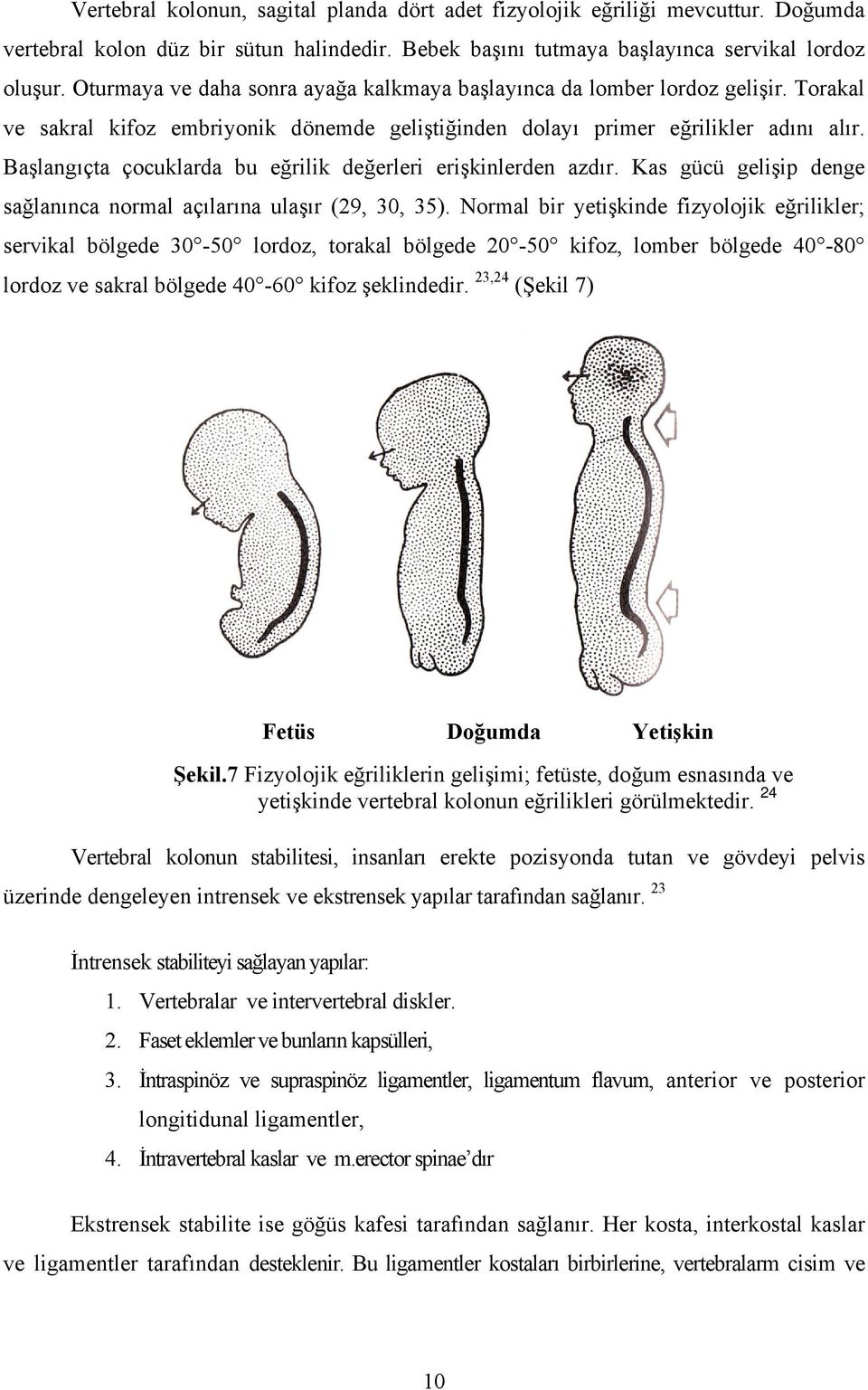 Başlangıçta çocuklarda bu eğrilik değerleri erişkinlerden azdır. Kas gücü gelişip denge sağlanınca normal açılarına ulaşır (29, 30, 35).