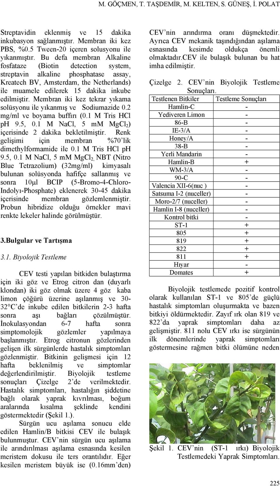 Membran iki kez tekrar yıkama solüsyonu ile yıkanmış ve Sodiumazide 0.2 mg/ml ve boyama buffırı (0.1 M Tris HCl ph 9.5, 0.1 M NaCl, 5 mm MgCl 2 ) içerisinde 2 dakika bekletilmiştir.