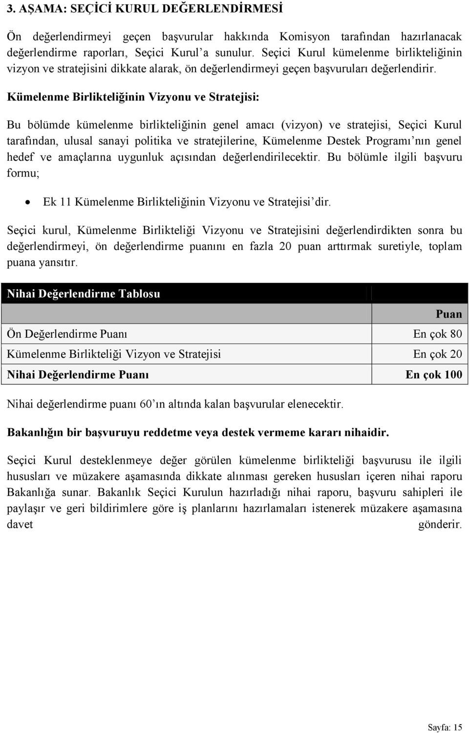 Kümelenme Birlikteliğinin Vizyonu ve Stratejisi: Bu bölümde kümelenme birlikteliğinin genel amacı (vizyon) ve stratejisi, Seçici Kurul tarafından, ulusal sanayi politika ve stratejilerine, Kümelenme