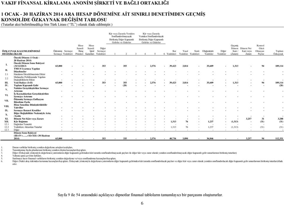 Gelirler ve Giderler Diğer Sermaye Yedekleri 1 2 3 4 5 6 Önceki Dönem (1 Ocak - 30 Haziran 2014) - I.