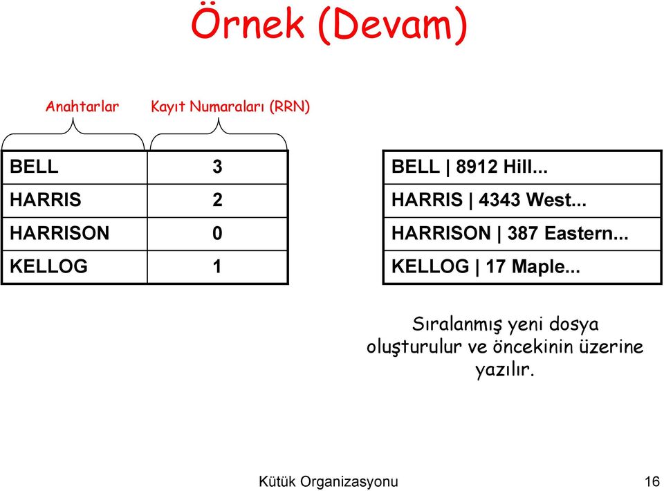 .. HARRISON 387 Eastern... KELLOG 17 Maple.