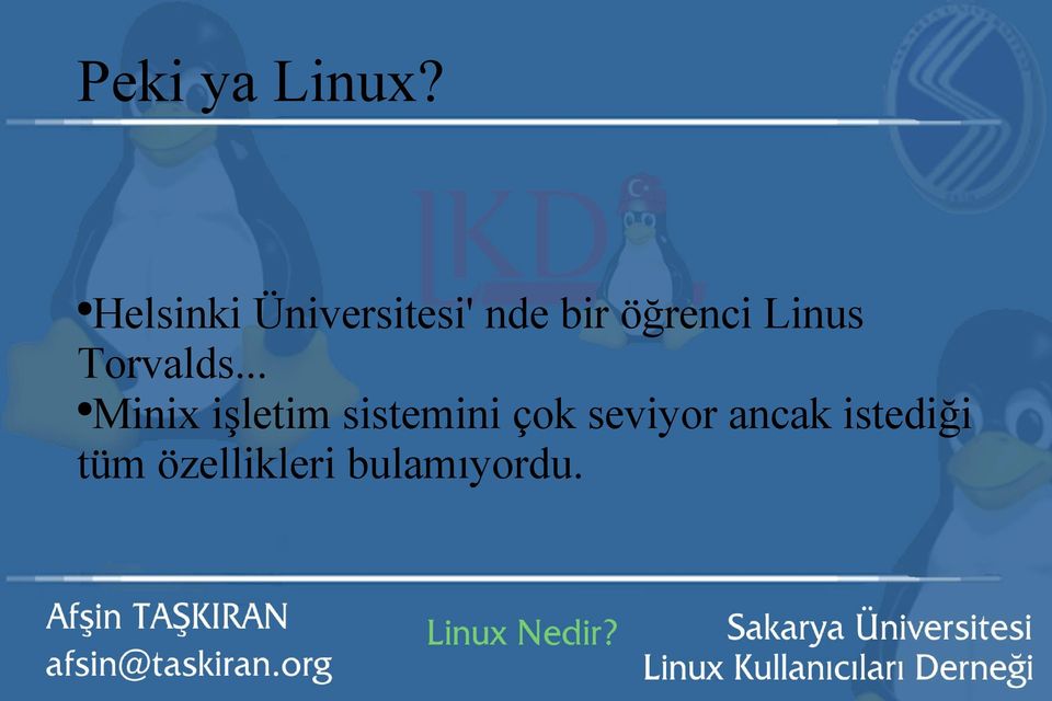 öğrenci Linus Torvalds.