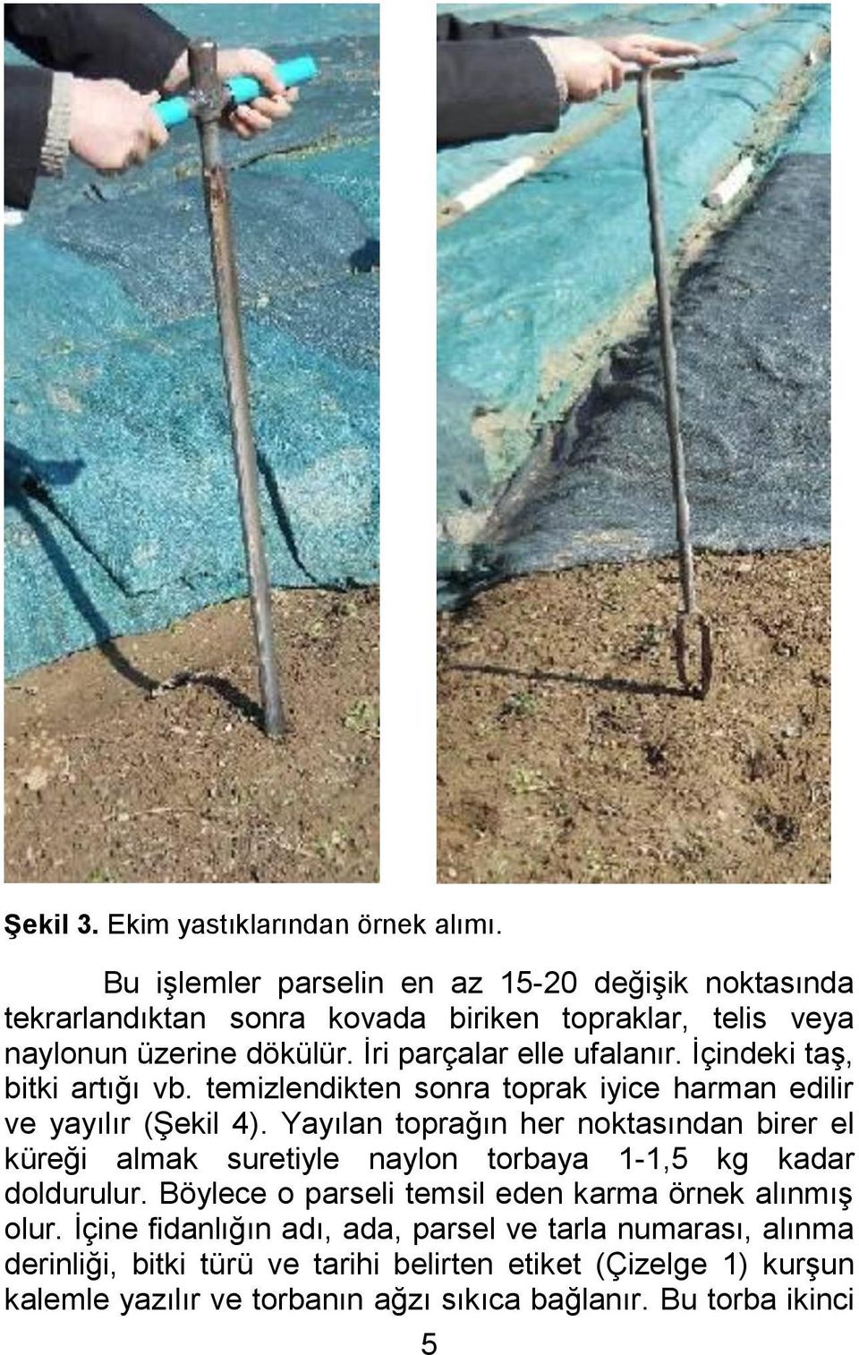 İçindeki taş, bitki artığı vb. temizlendikten sonra toprak iyice harman edilir ve yayılır (Şekil 4).