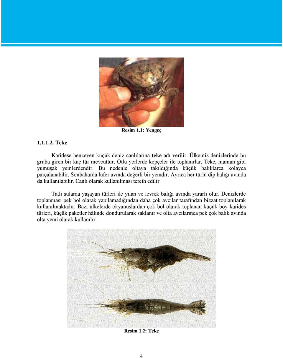Ayrıca her türlü dip balığı avında da kullanılabilir. Canlı olarak kullanılması tercih edilir. Tatlı sularda yaşayan türleri ile yılan ve levrek balığı avında yararlı olur.