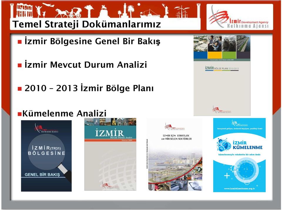 İzmir Mevcut Durum Analizi 2010
