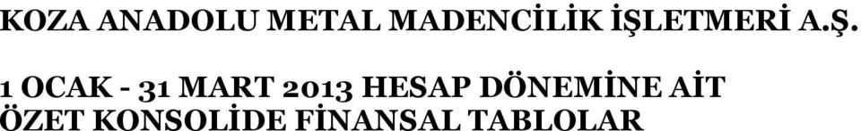 MART 2013 HESAP DÖNEMİNE AİT