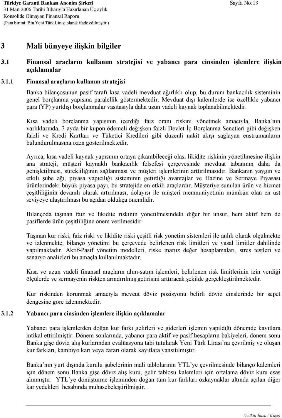 Finansal araçların kullanım stratejisi ve yabancı para cinsinden işlemlere ilişkin açıklamalar 3.1.