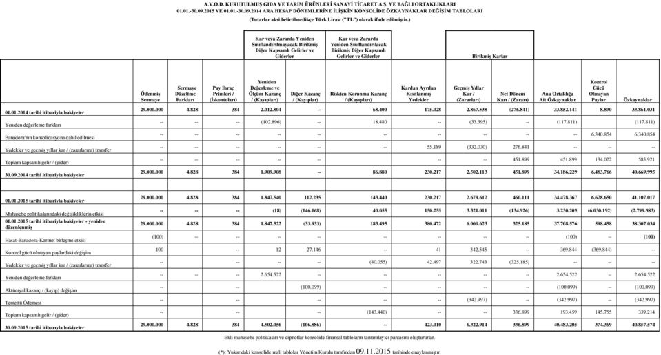 Ödenmiş Sermaye Sermaye Düzeltme Farkları Pay İhraç Primleri / (İskontoları) Yeniden Değerleme ve Ölçüm Kazanç / (Kayıpları) Diğer Kazanç / (Kayıplar) Riskten Korunma Kazanç / (Kayıpları) Kardan