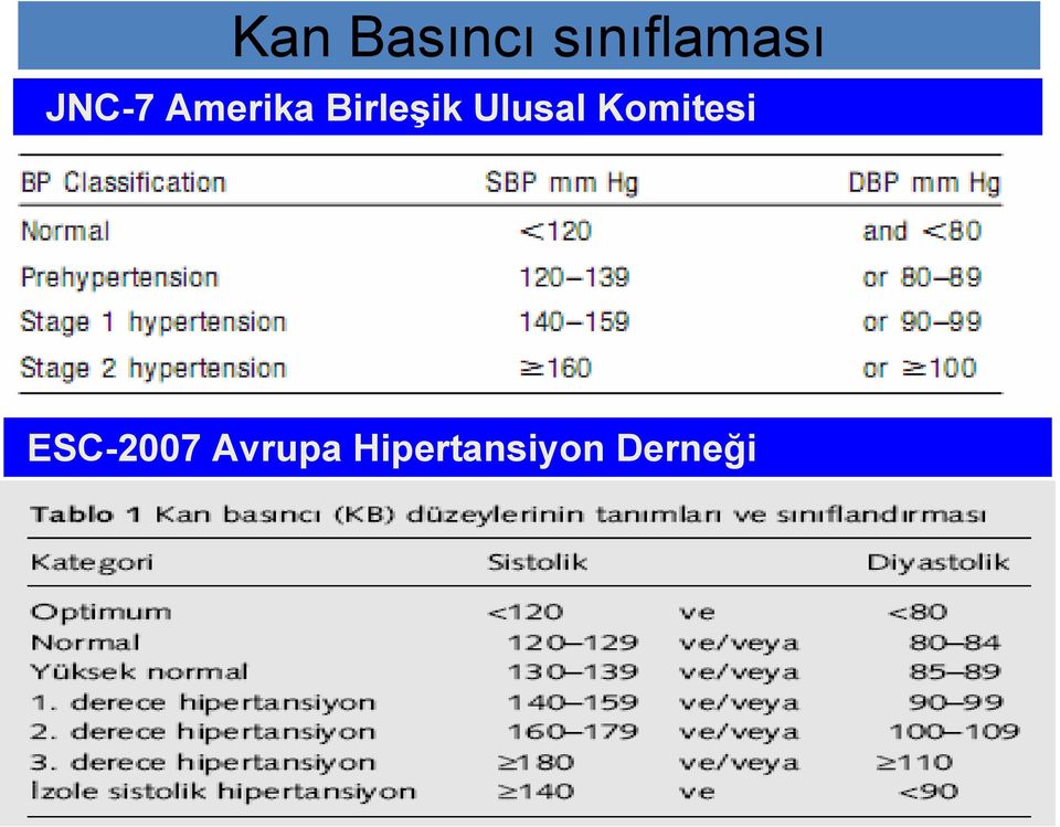 Ulusal Komitesi ESC-2007