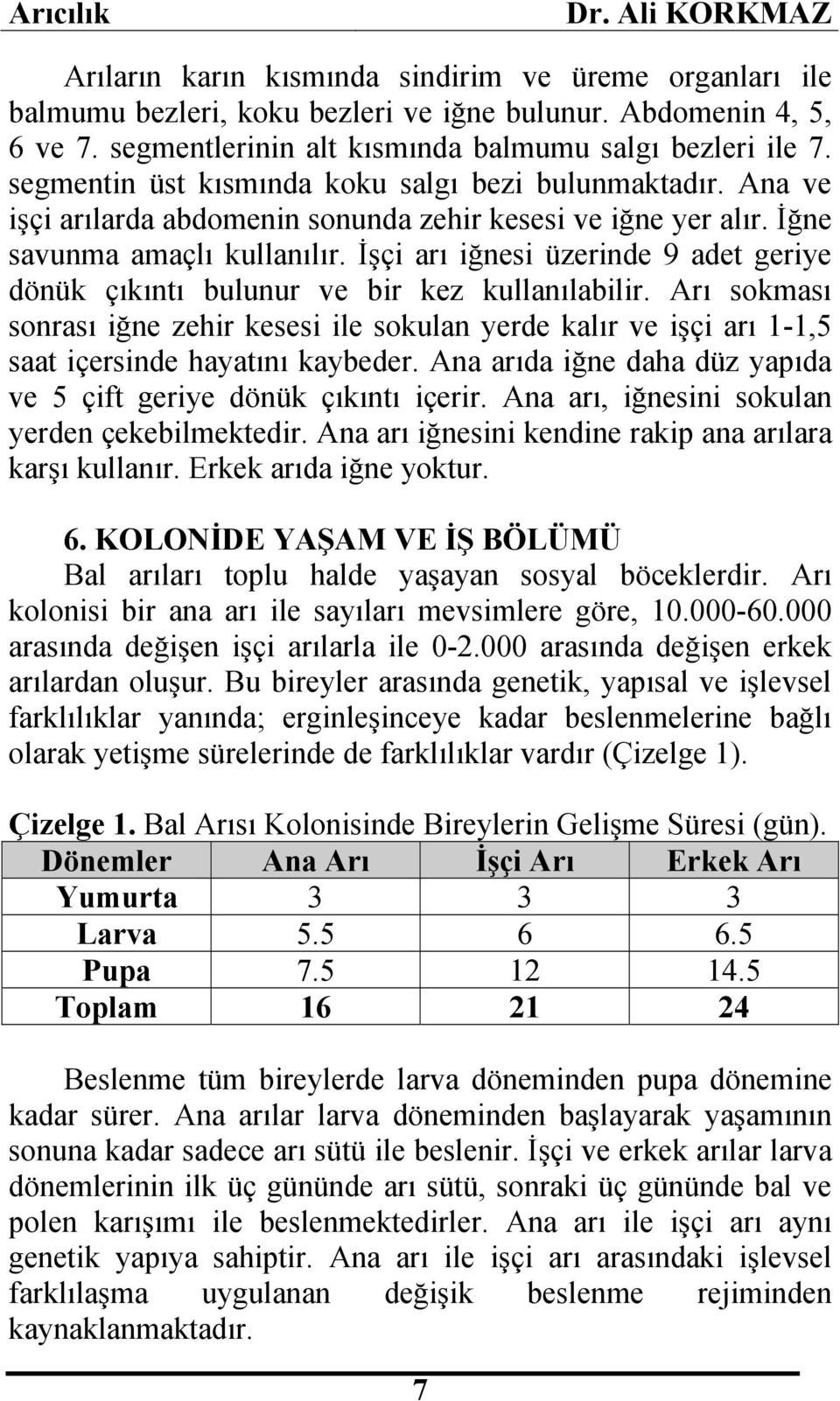 İşçi arı iğnesi üzerinde 9 adet geriye dönük çıkıntı bulunur ve bir kez kullanılabilir.