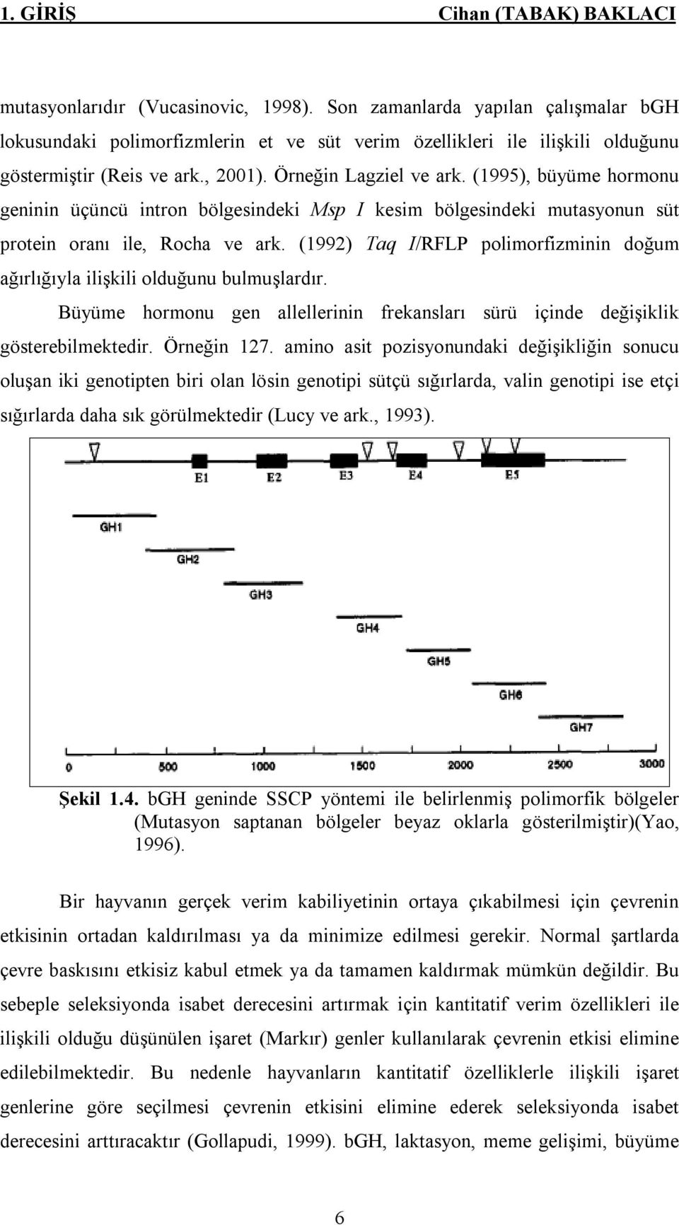 (1995), büyüme hormonu geninin üçüncü intron bölgesindeki Msp I kesim bölgesindeki mutasyonun süt protein oranı ile, Rocha ve ark.