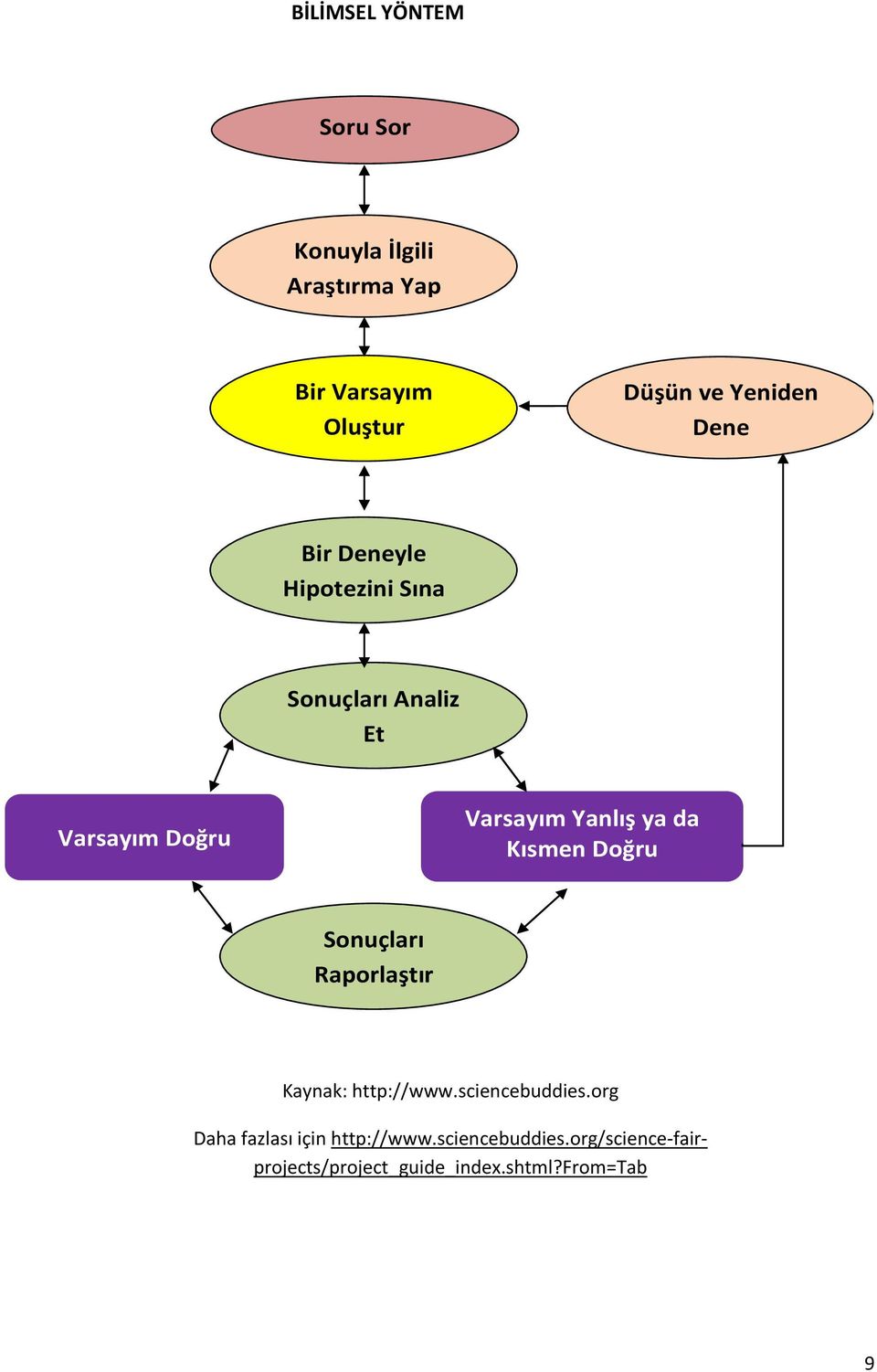 Yanlış ya da Kısmen Doğru Sonuçları Raporlaştır Kaynak: http://www.sciencebuddies.