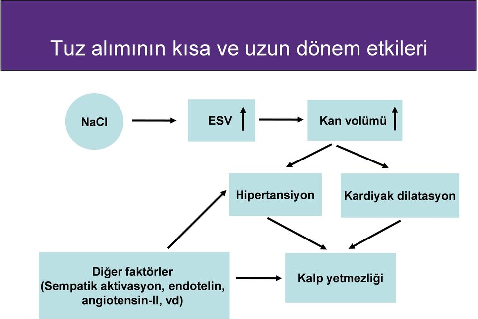 dilatasyon Diğer faktörler (Sempatik