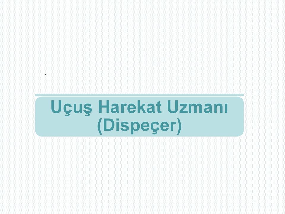 Uzmanı