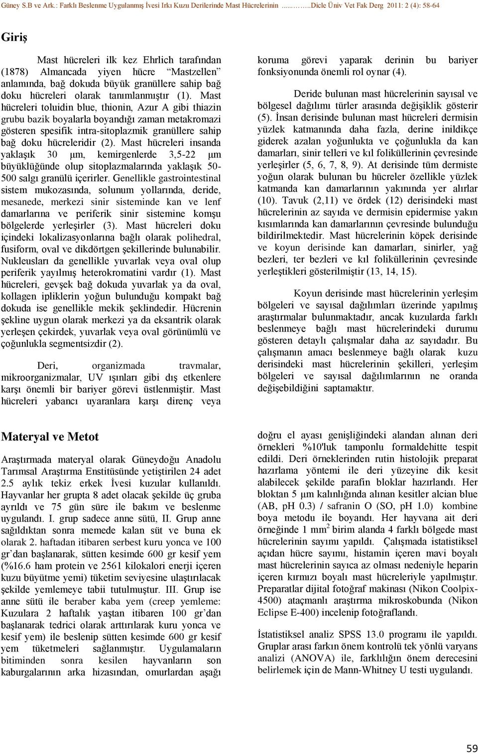 Mast hücreleri insanda yaklaşık 30 μm, kemirgenlerde 3,5-22 μm büyüklüğünde olup sitoplazmalarında yaklaşık 50-500 salgı granülü içerirler.