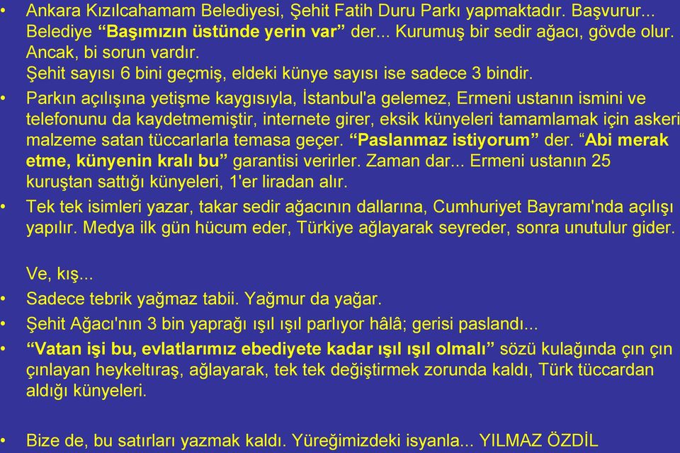 Parkın açılıģına yetiģme kaygısıyla, Ġstanbul'a gelemez, Ermeni ustanın ismini ve telefonunu da kaydetmemiģtir, internete girer, eksik künyeleri tamamlamak için askeri malzeme satan tüccarlarla