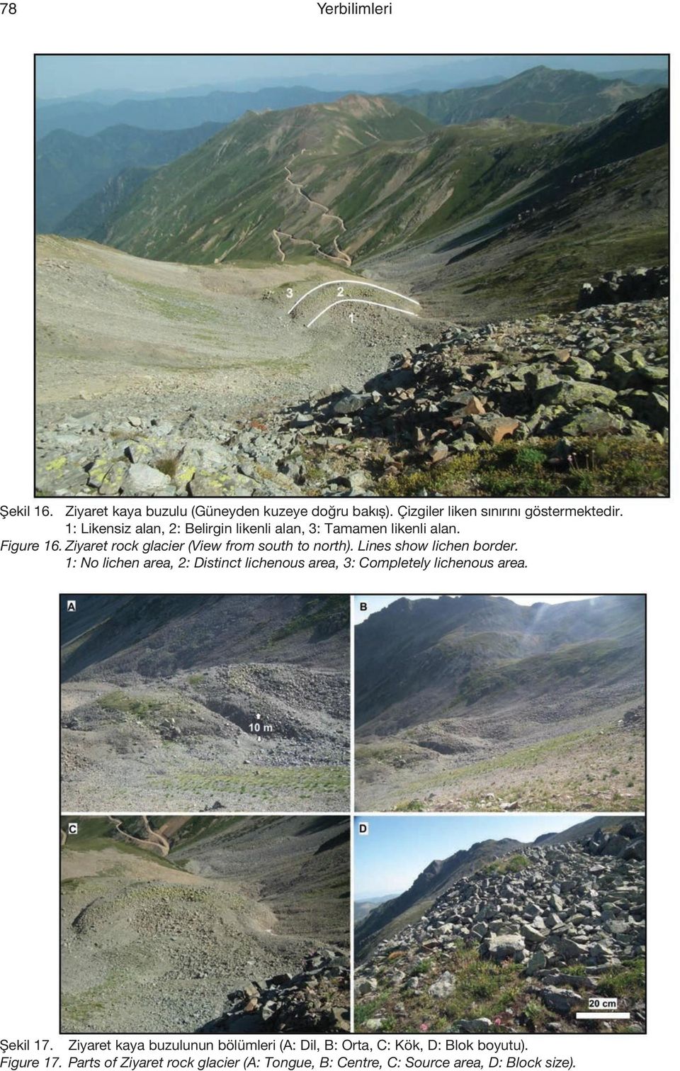 Lines show lichen border. 1: No lichen area, 2: Distinct lichenous area, 3: Completely lichenous area. Şekil 17.