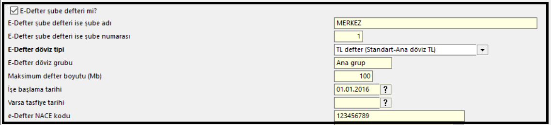 e-defter şube bilgileri /Şubeli ise e-defter şube defteri mi seçeneği işaretli olmalı ve şube adı yazılmalıdır. Defter dövizli ise döviz tipi ve grubu seçilmelidir.