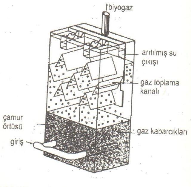 Sistemin geliştirilmesindeki temel düşünceler: Anaerobik çamurların uygun