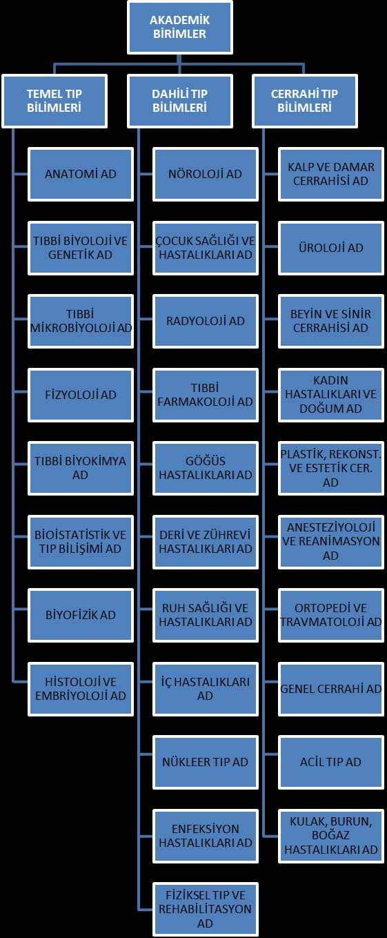 Örgüt Yapısı Şekil 1: