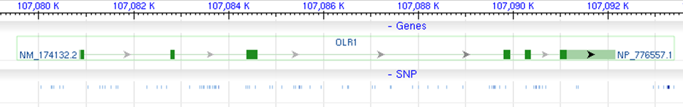 receptor-c coactivator-1a), PRL (Prolactin) ve STAT5A (Signal transducer and activator of transcription 5A) genleri üzerindeki polimorfizmlerin etkilerini belirlemek üzere Hollanda Holştayn ırkı